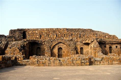 firoz shah kotla excavated chinese ceramics archaeological survey of india|Chinese Porcelain of Yuan Period Discovered at Firozshah Kotla Complex.